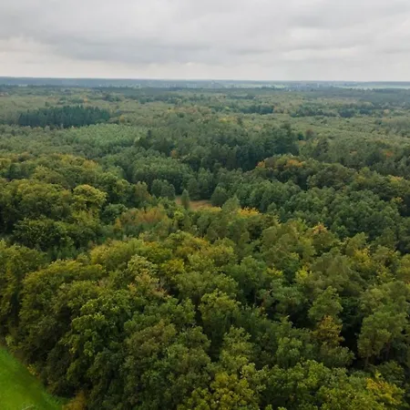 Wald Und 16a